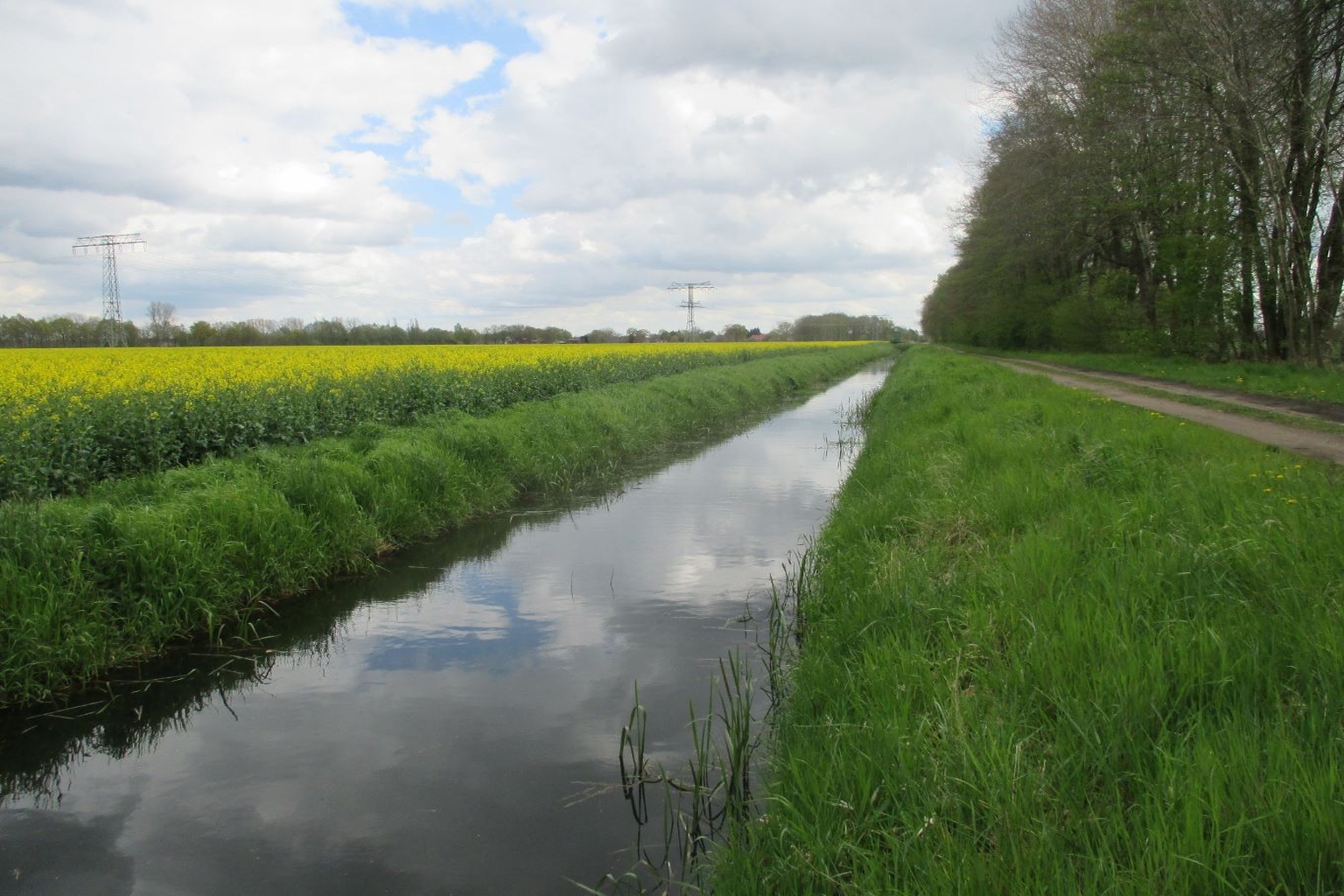 Foto vom Luwigsluster Kanal. Beispiel für einen stark begradigen und ausgebauten Abschnitt des Kanals