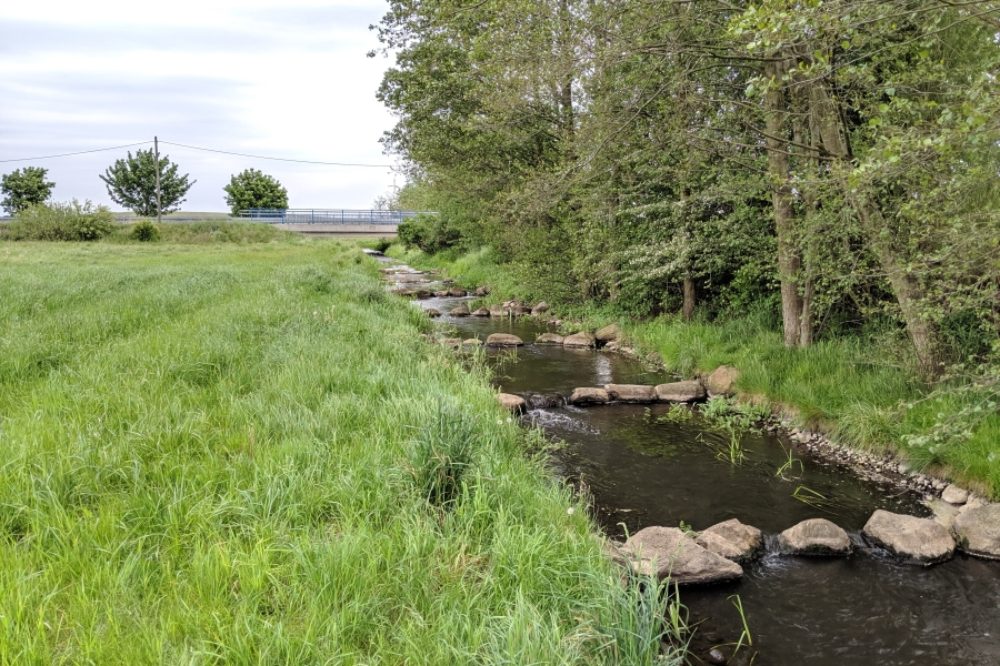 Auf dem Foto ist ein Abschnitt des Gehlsbachs zu sehen. An einer Seite des Baches grenzen Bäume an, das andere Ufer ist von Grünland umgeben. In dem Gewässerabschnitt liegen größere Steine in Riegeln quer zum Gewässer. Diese Sohlgleite ist anstelle eines vorherigen Wehres entstanden. Der Höhenunterschied wird nun allmählich über eine größere Strecke abgebaut, so dass Tiere das Hindernis gut überwinden können.