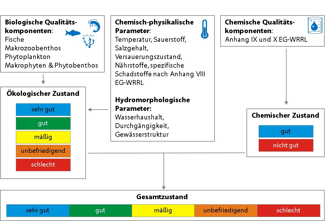 Eine Grafik zeigt das Zusammenspiel verschiedener Komponenten zur Bewertung der Oberflaechengewaesser.