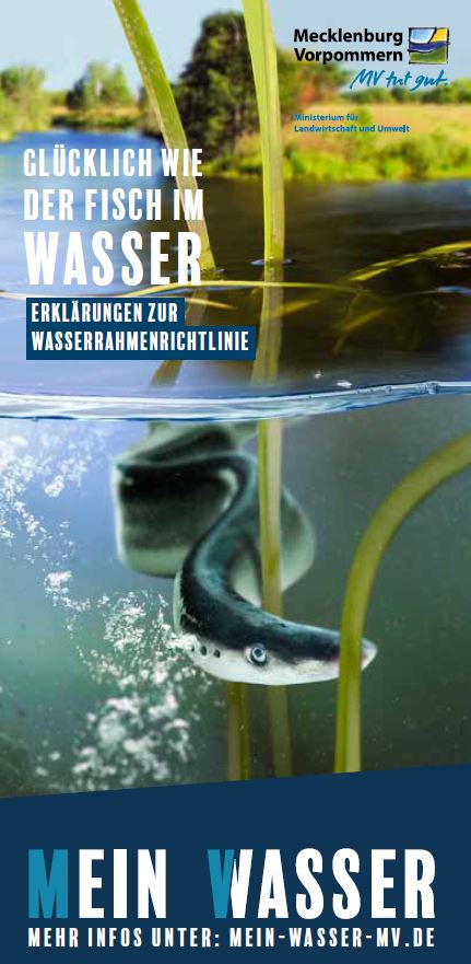 Flyer Wie ein Fisch im Wasser: Deckblatt