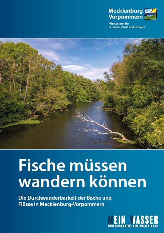 Broschüre Fische müssen wandern können: Deckblatt